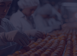 Food Manufacturing